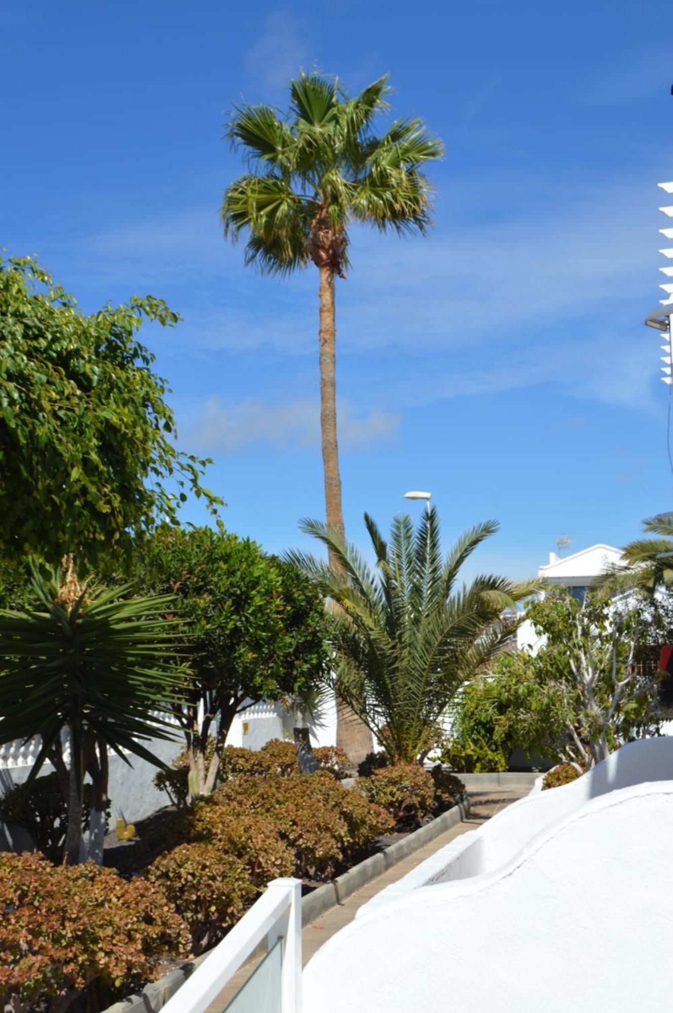 Lava Teneguia, 5 Guests In 2 Bedrooms Puerto del Carmen  Zewnętrze zdjęcie